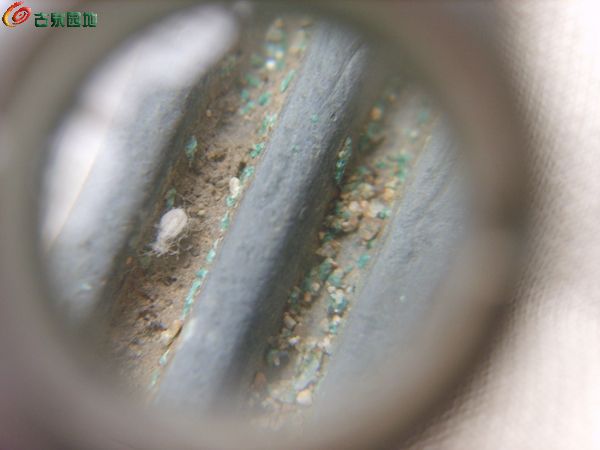 AQAAAFPFD1eIQ1sQAABvWdC9yosAAAWeAIcYPIAAG9x590.jpg