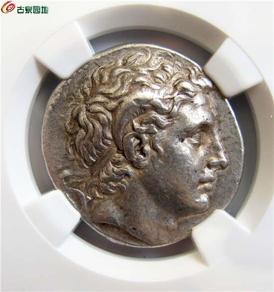 古希腊最早的亚历山大头像银币-ngc评级
