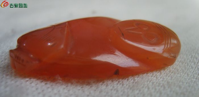 AQAAAFUvYlKIKwJdAABX2yuMR6sAAAqVQG8_zAAAFfz767.jpg