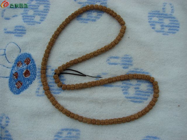 AQAAAFWzJZSIPliRAADIRlcU9b4AAAx_gJHTZMAAMhe810.jpg
