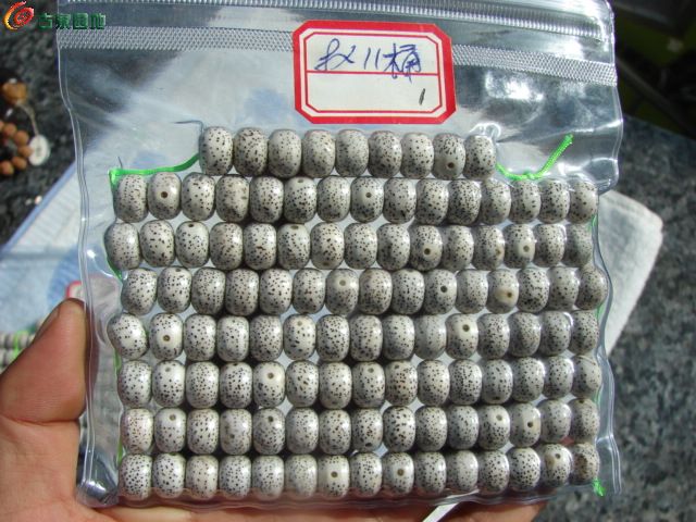 AQAAAFX9DdqIQ6BtAAEse-FE3M0AAA2ewIHHlcAASyT356.jpg