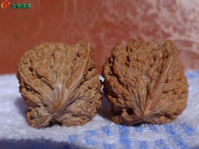 AQAAAFYCkxGIF3lvAACyCoivdpMAAA23QI7cI8AALIi944.jpg