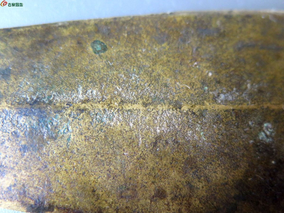 金黄皮柳叶矛