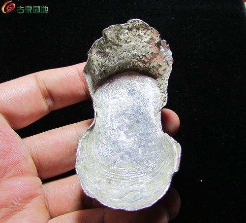 AQAAAFegbqyIJf-xAACS63904yMAABT6wOQiaYAAJMD092.jpg
