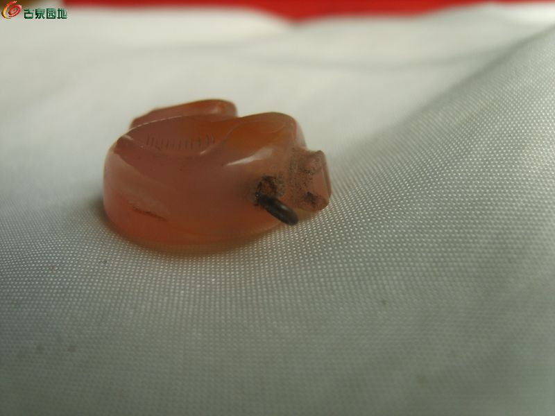 AQAAAFgIeO6IJGTaAADDjn9JqfoAABb_wBITAsAAMOm823.jpg
