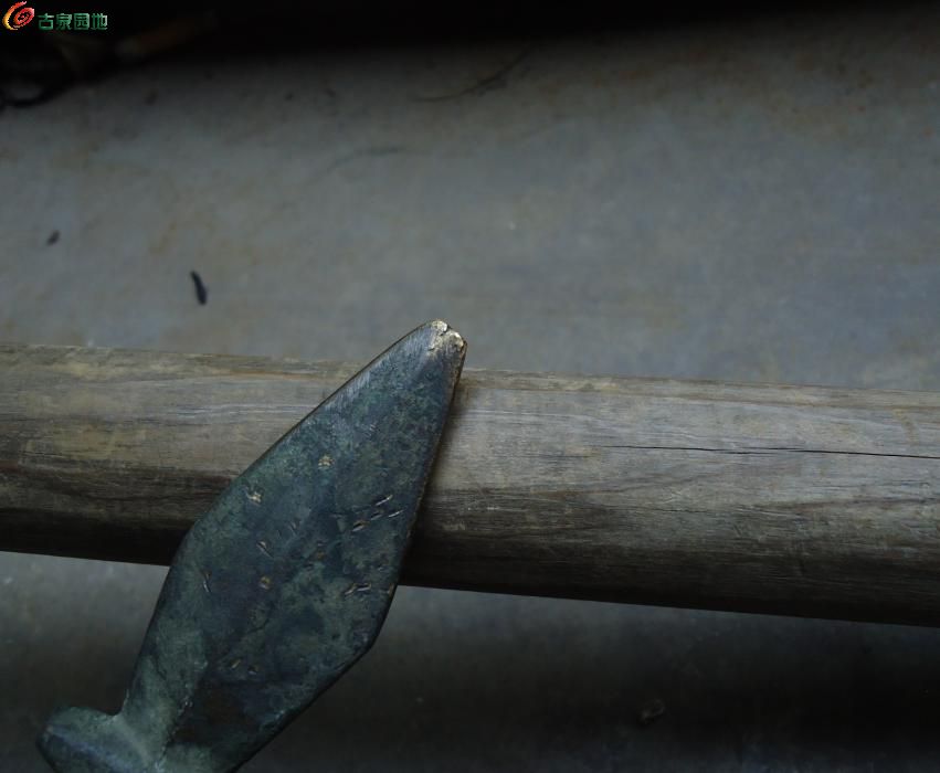 AQAAAFmATcqIQGyCAAC84cg8C5gAAB8SAICSX4AALz5831.jpg