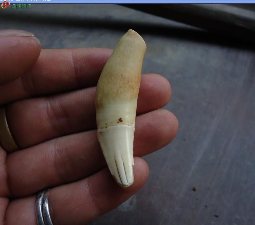 AgAAAFmGjluISRqxAACjhN7zxFYAAB80QHWnM8AAKOc124.jpg