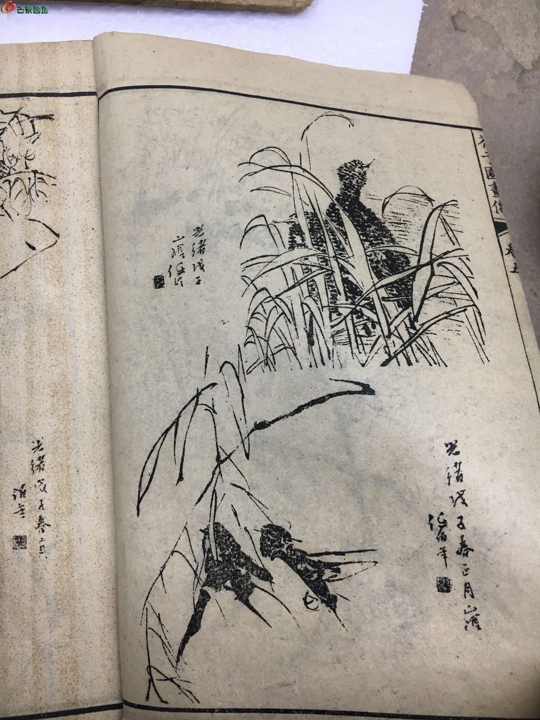 芥子园 古书