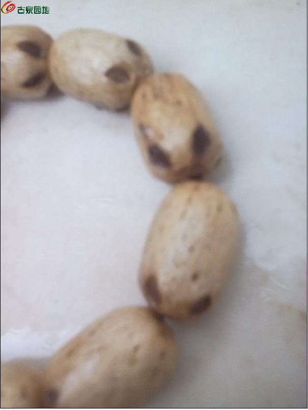 AQAAAFqmhb2IeeHOAAB6bberAekAACYqwKCOJAAAHqF393.jpg