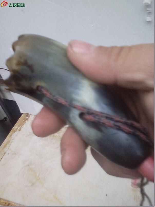 AQAAAFq0fHGIRSEcAACmMOqFQWkAACaYAK2foQAAKZI455.jpg