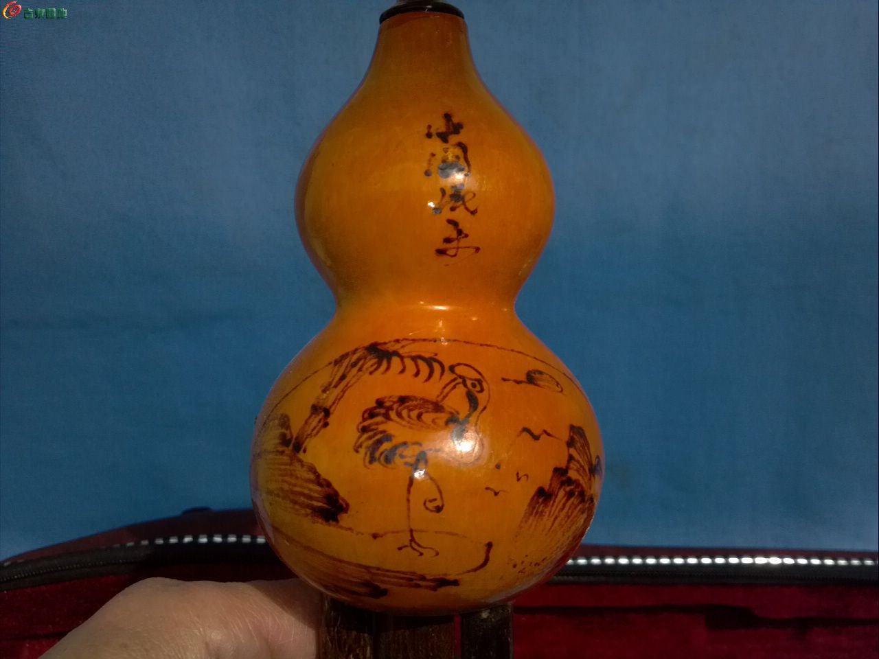 AgAAAFq1232IDQpCAAF9bekVsMcAACajQA8JO8AAX2F309.jpg
