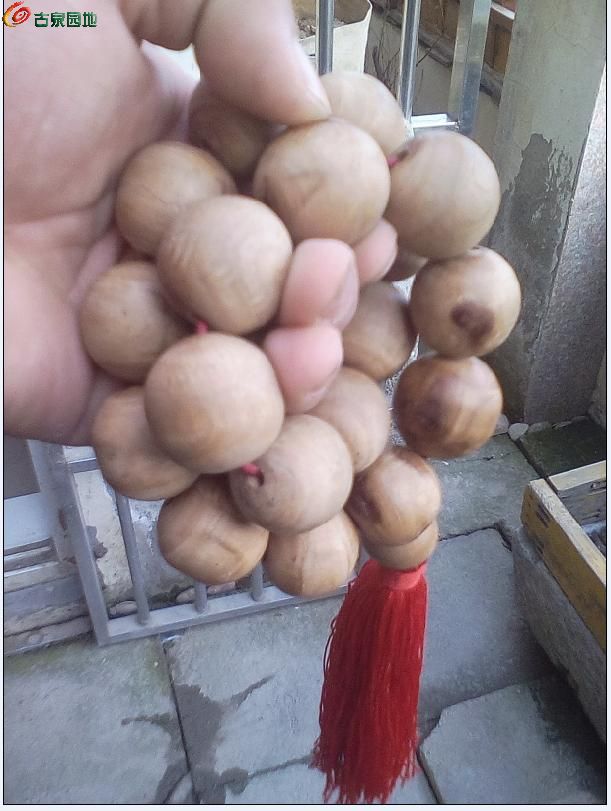 AQAAAFrSHx2IabbvAAETLXq2NbEAACeIACkPVAAARNF361.jpg
