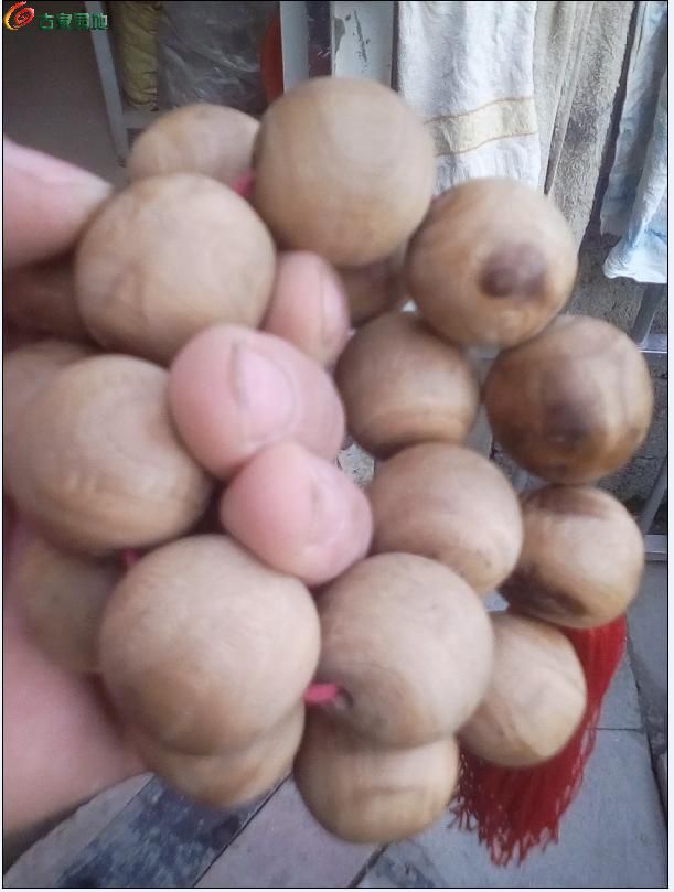 AgAAAFrSHxyIJJBnAADa2C_Mz6YAACeIACjYmAAANrw506.jpg
