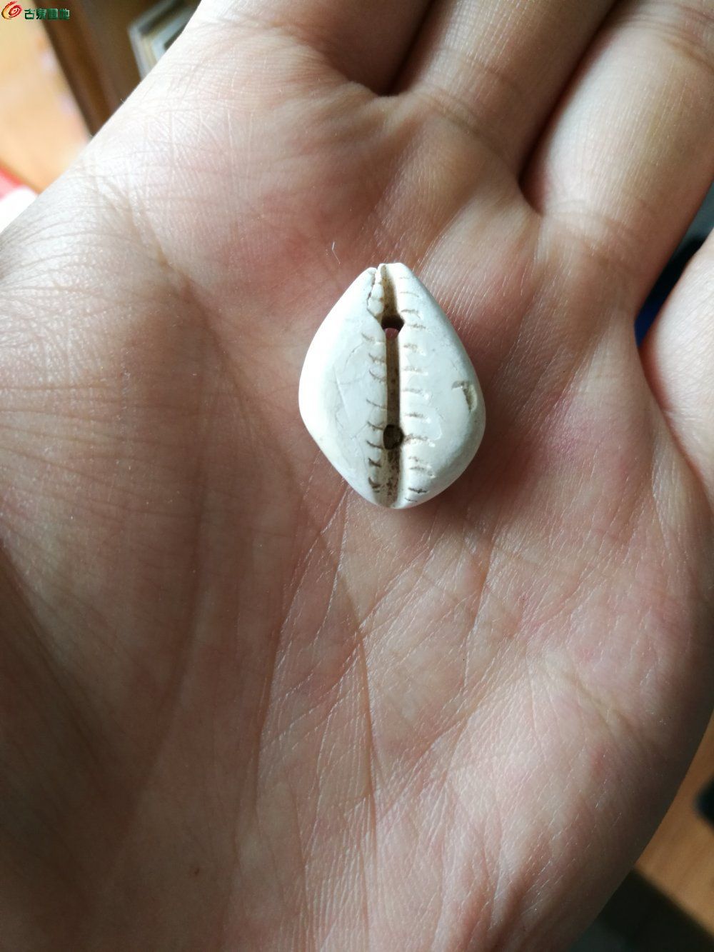 商周骷髅玉贝币