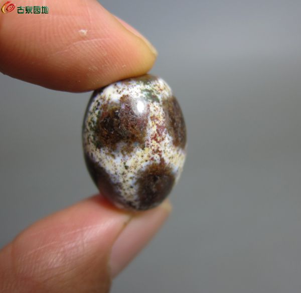 藏传尼泊尔象雄(龟甲纹)天珠