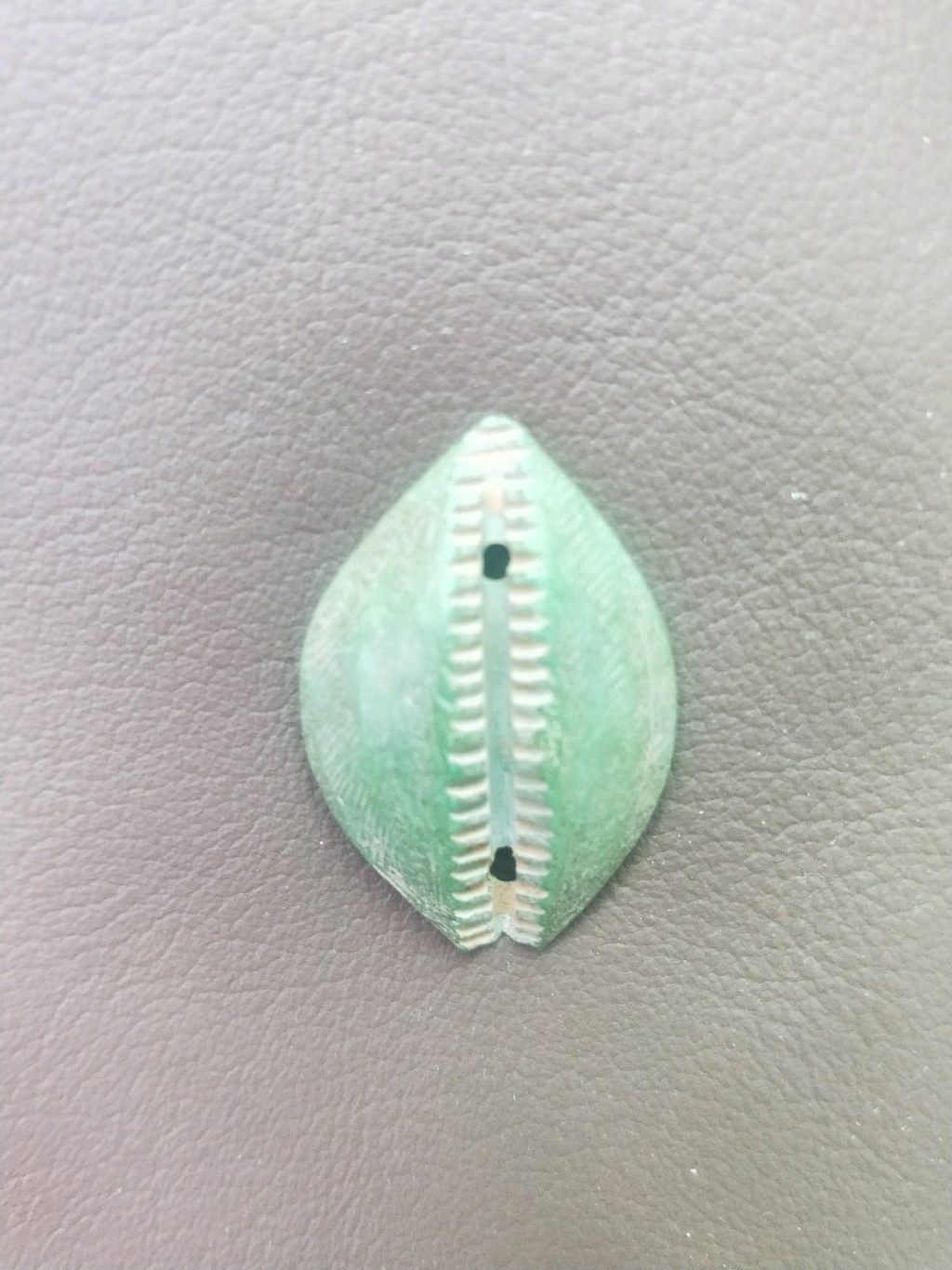 大型厚实 绿沁骨贝币