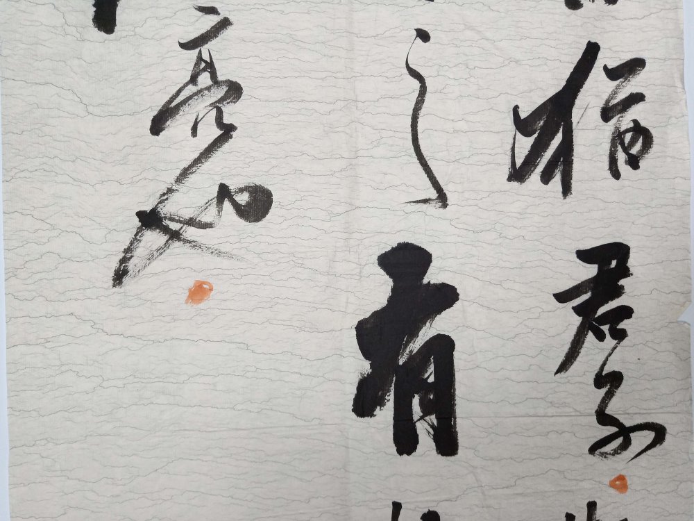 山东书法名家【张建军】草书