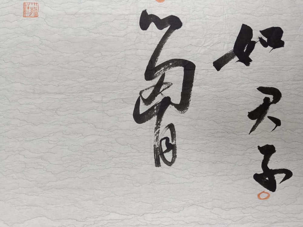 山东书法名家【张建军】草书