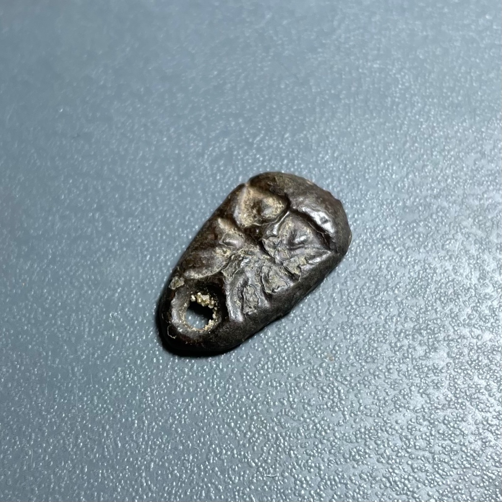 鬼脸币四须