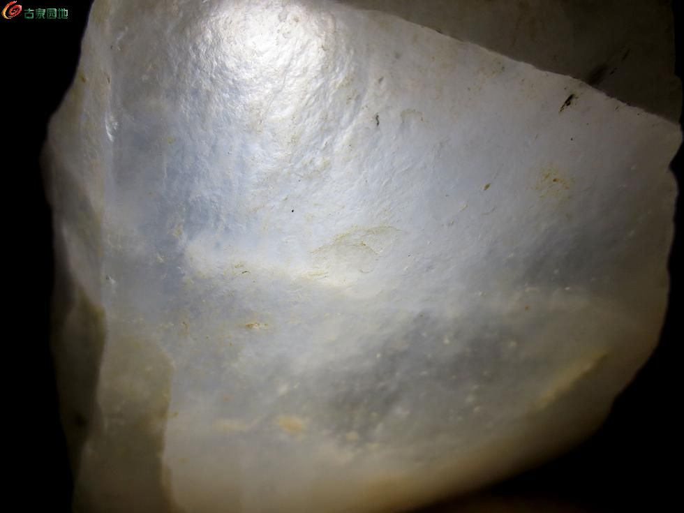 1斤多缅甸天然翡翠伴生矿水沫玉原石,料子够大,打灯爆 透啊,起荧光