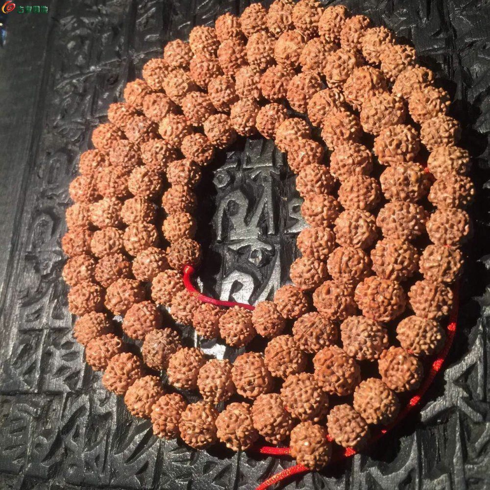 ߰Ƽ֦С ޵лƤ ߴ10-10.5 