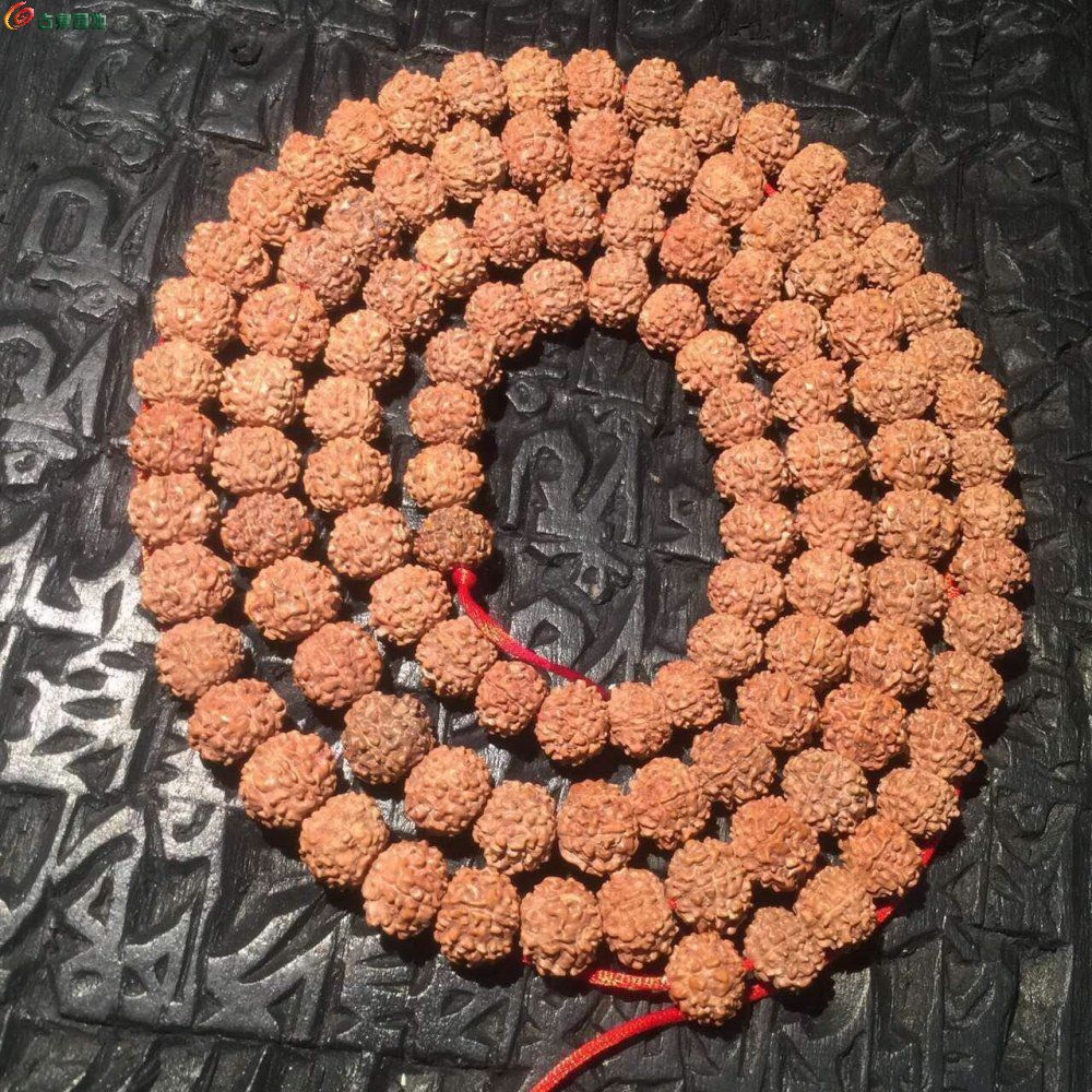 ߰Ƽ֦С ޵лƤ ߴ10-10.5 