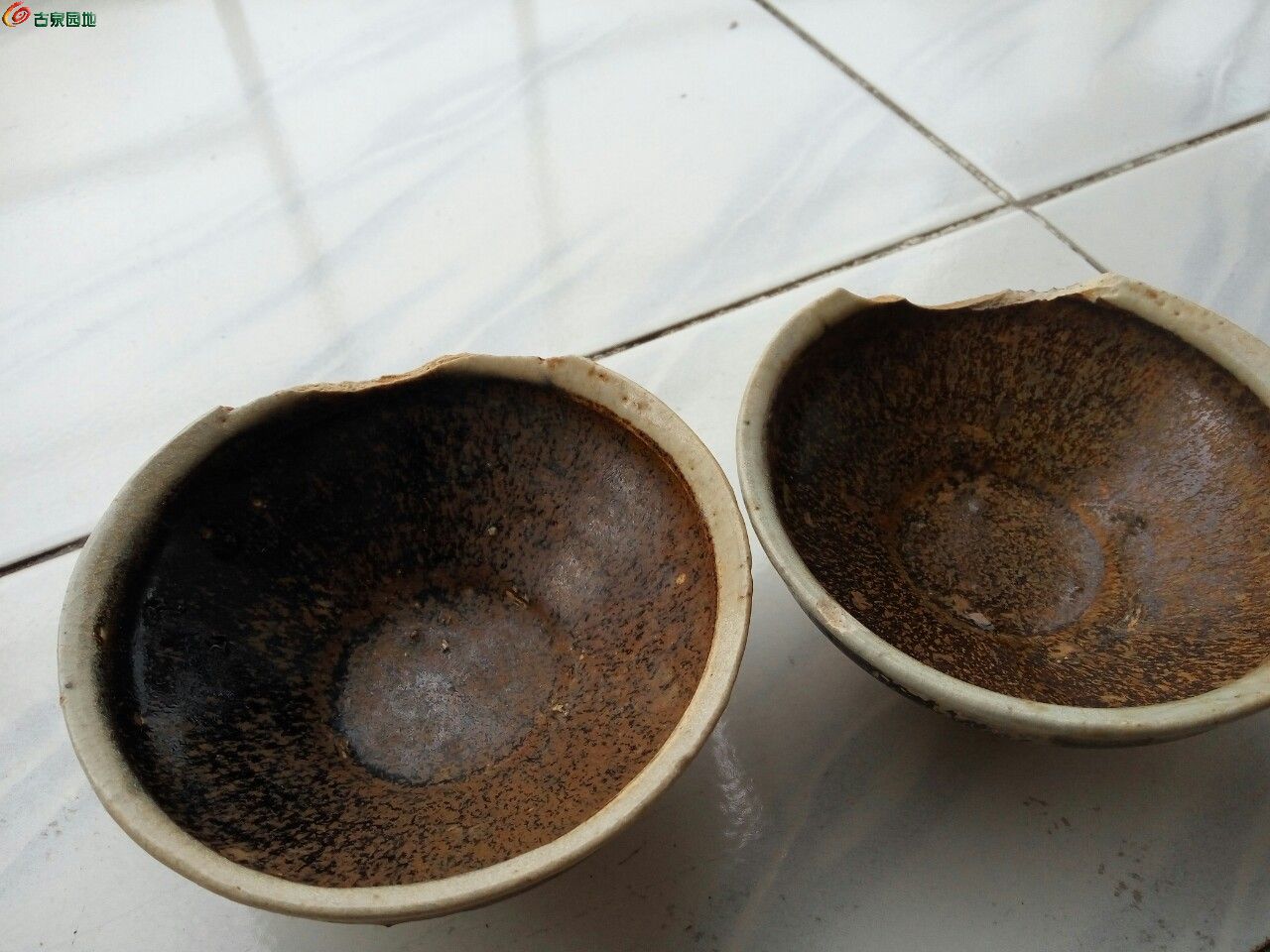 茶洋窑白覆轮图片