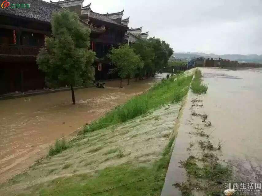 里耶洪水图片