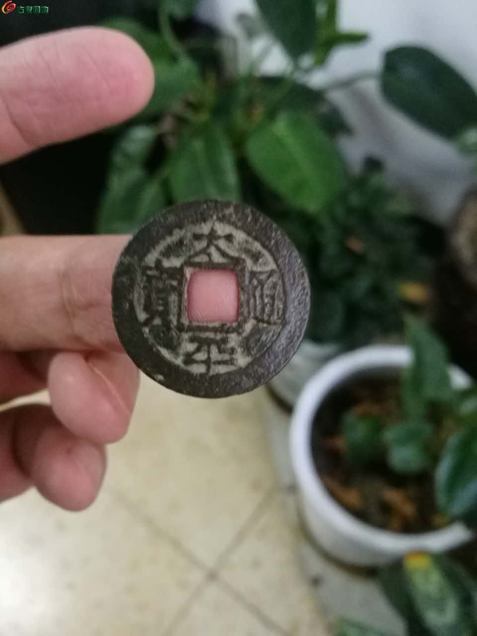 ̫ƽͨ