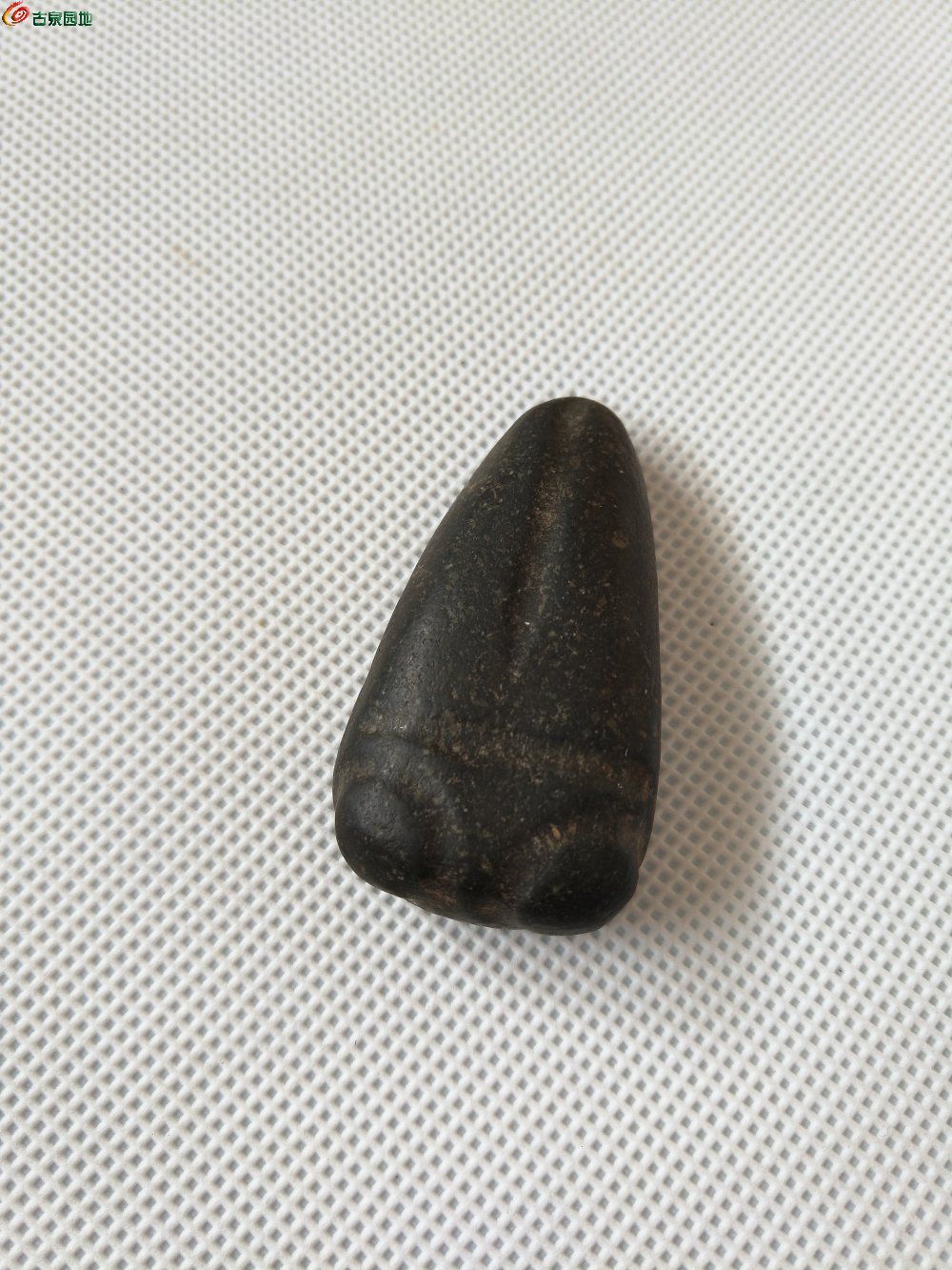 完整石蝉