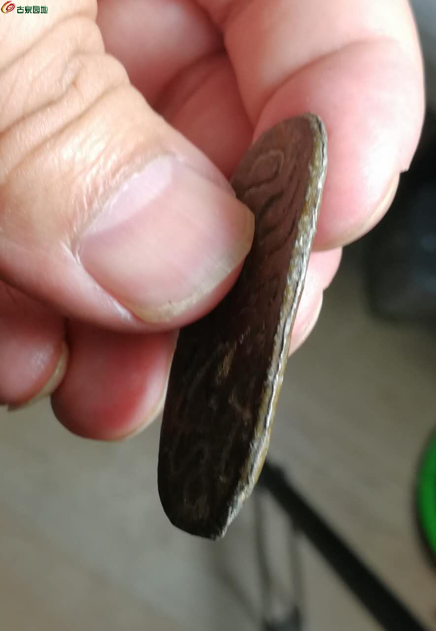 龟币(龟币多少钱一枚)