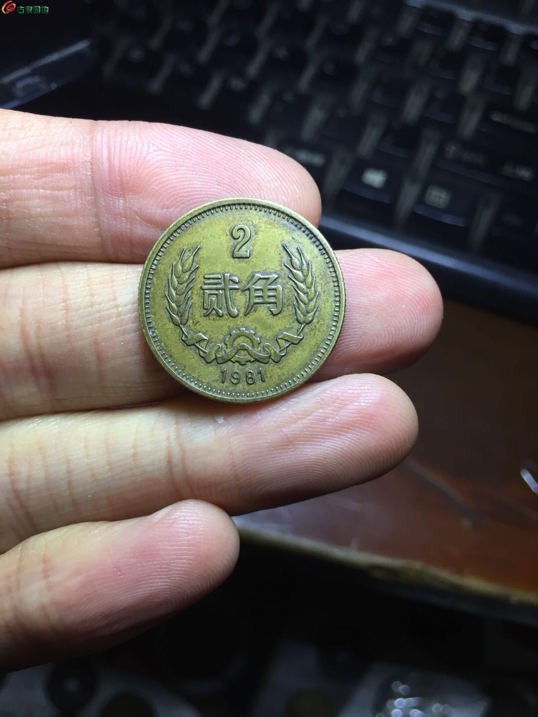 纪念币钞和硬币 03 81年2角 价格:￥150