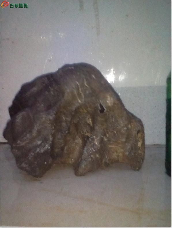 AQAAAFrwIu6IBD8gAAC5aLVpSF4AACiCAOSTMUAALmA592.jpg