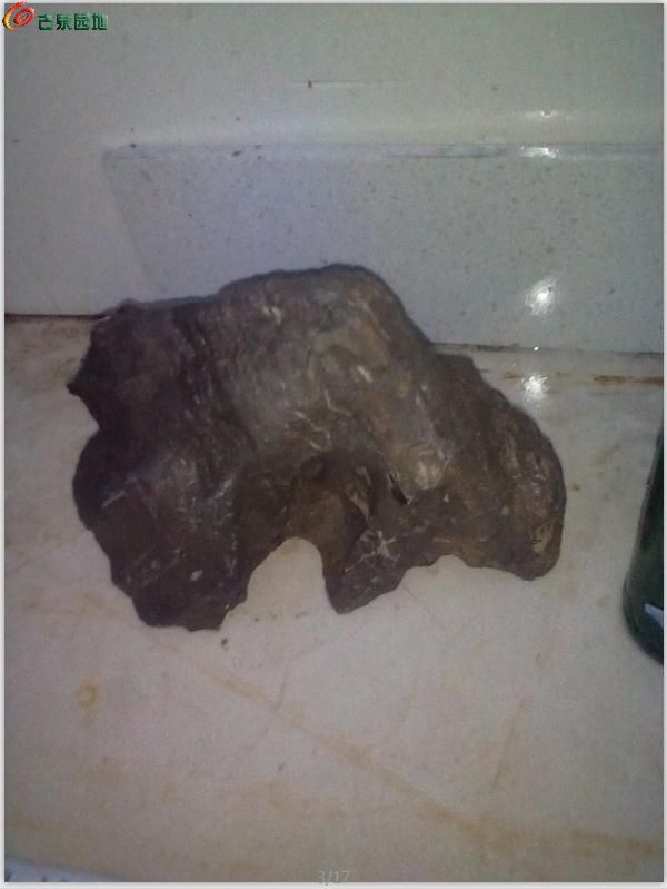 AgAAAFrwIu6IWv3wAACwSp2rhmoAACiCAORnGMAALBi356.jpg