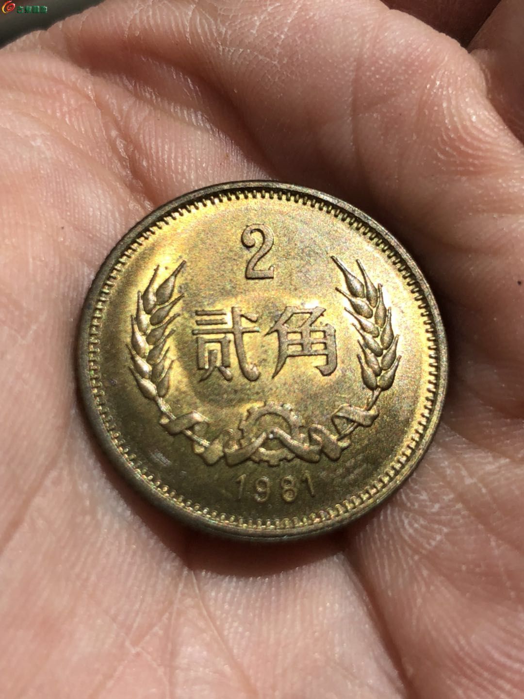 81年2角铜币(品相未经处理 自然原光 永久保真) 