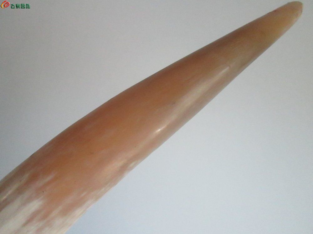 AQAAAFryd5aIFdvVAADgCCf46T8AACiTQES_NAAAOAg083.jpg