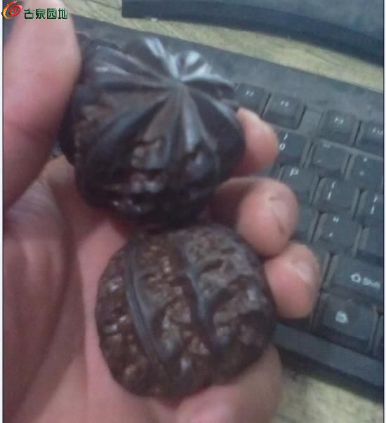 AgAAAFsRQ0iIRzNbAACC_v4MRkcAACmXwGnpSEAAIMW390.jpg