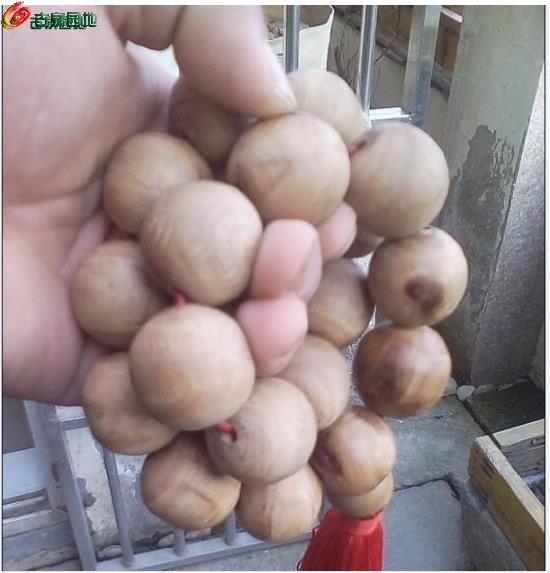 AgAAAFsRQEqIUVKnAACnc-BjnOsAACmXwARxa8AAKeL789.jpg