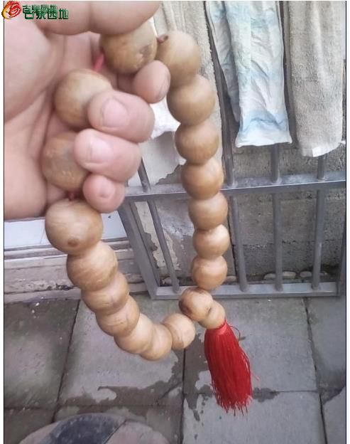 AgAAAFsRQCuIDcl9AAC0RSQNCgEAACmYAP4LbUAALRd405.jpg