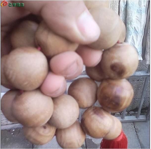 AgAAAFsRQESIMpxRAAC6KF-YJFoAACmYAP--F8AALpA793.jpg