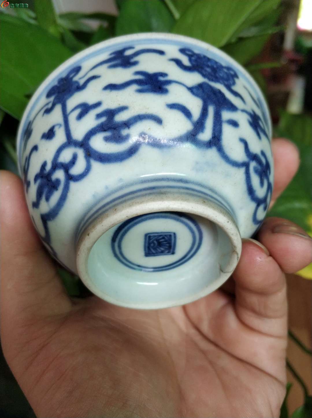 清康熙八宝缠枝莲青花茶盏