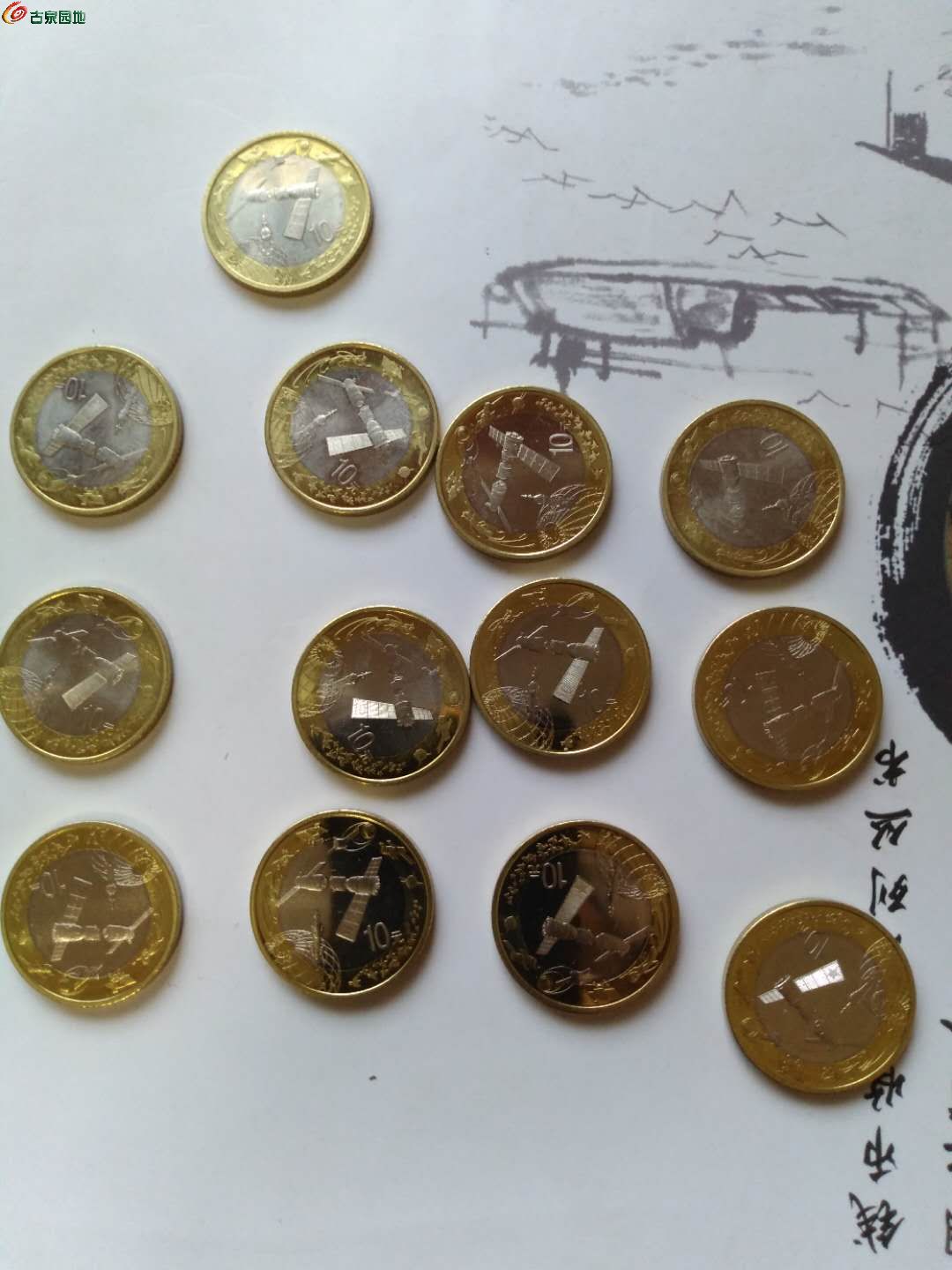 13枚硬币图片