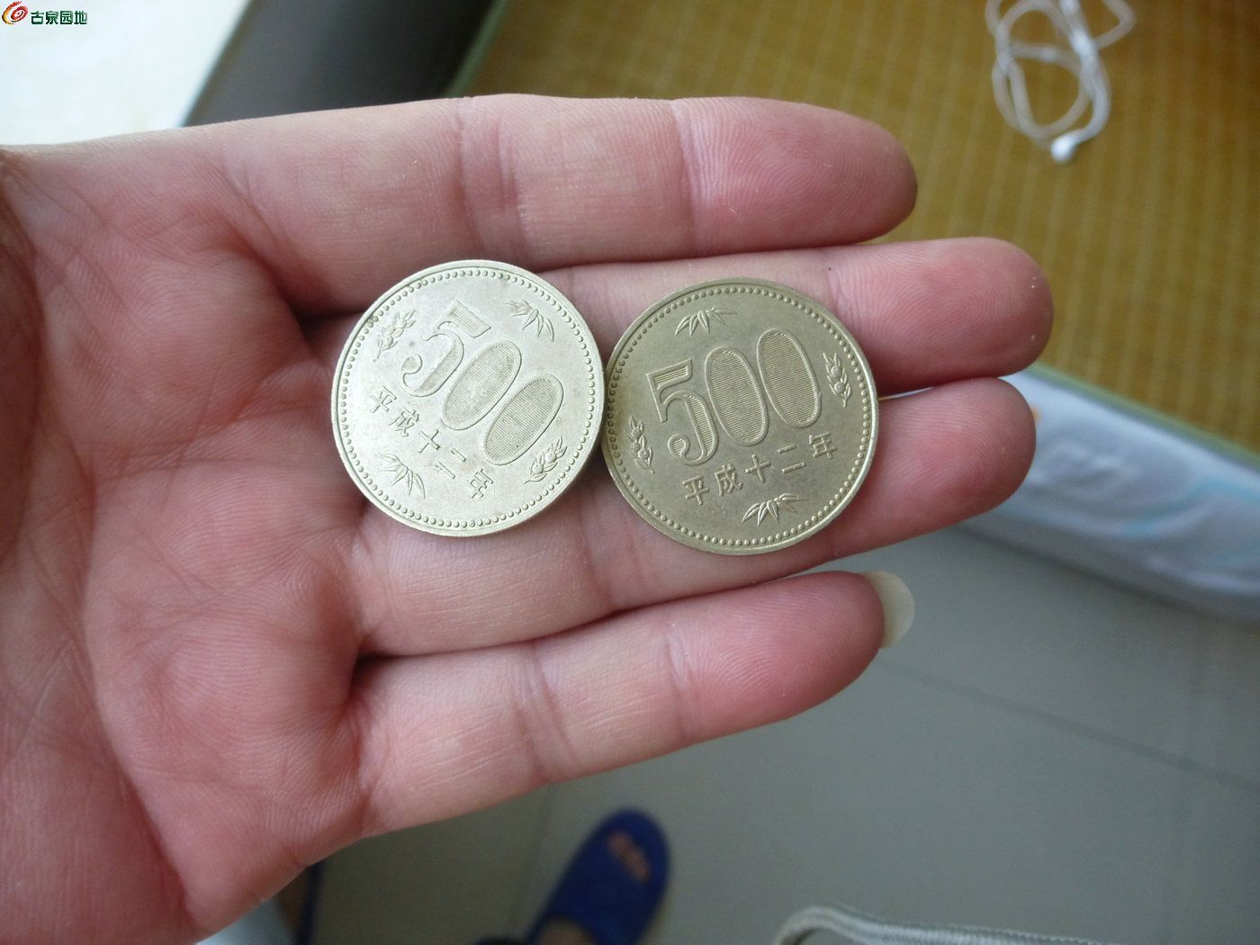 500日元(二个) 