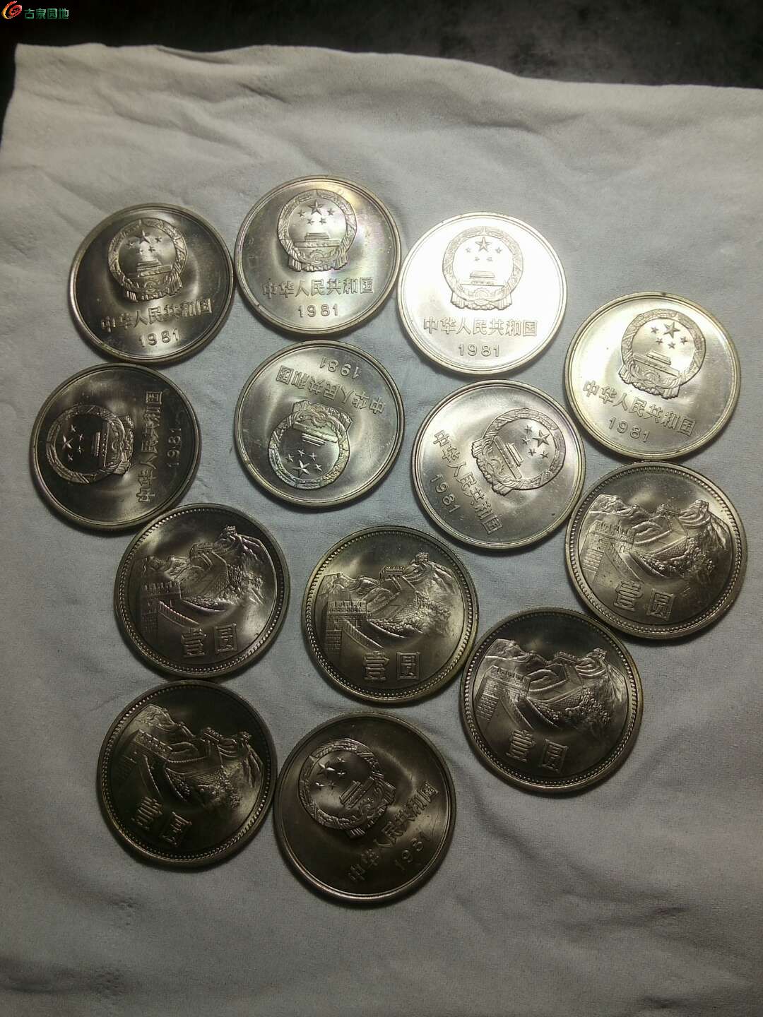 13枚硬币图片