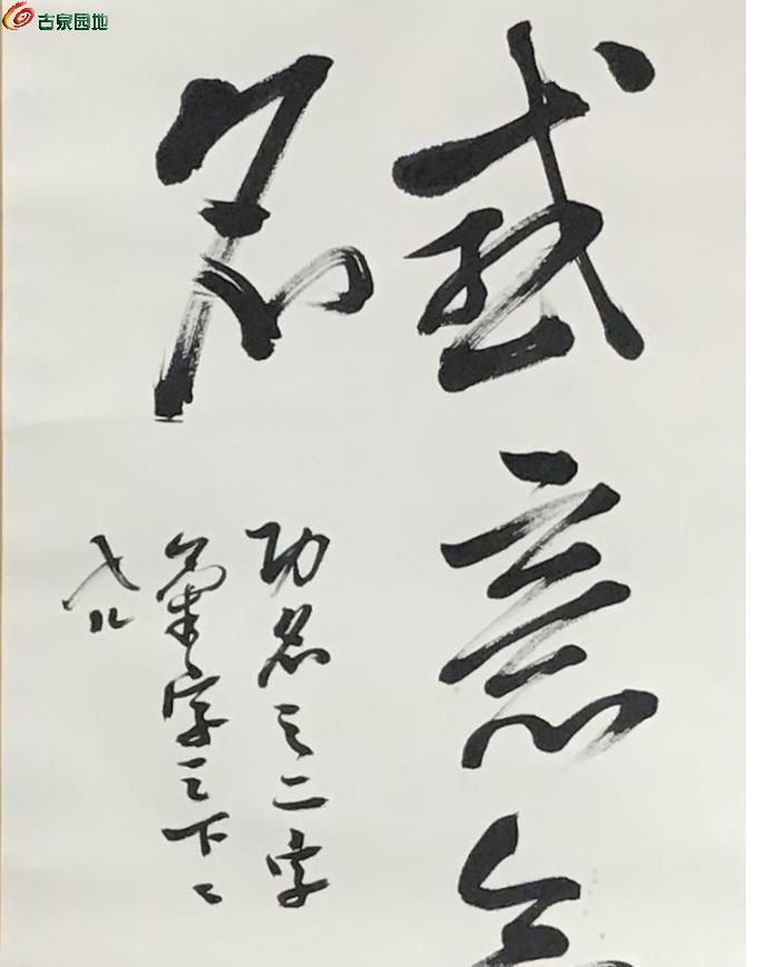 OlOH510kZFCIePeYAAC-HR6G5vQAADlsAHokKcAAL41531.jpg