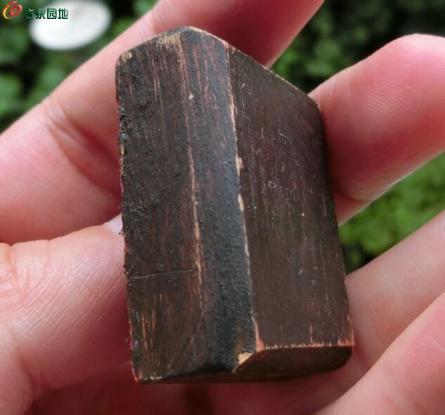 图片点击可在新窗口打开查看