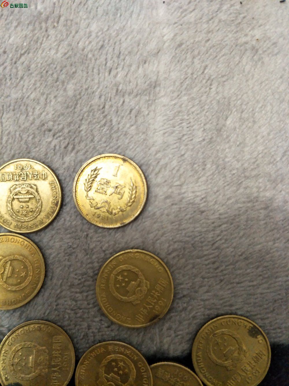 图片点击可在新窗口打开查看