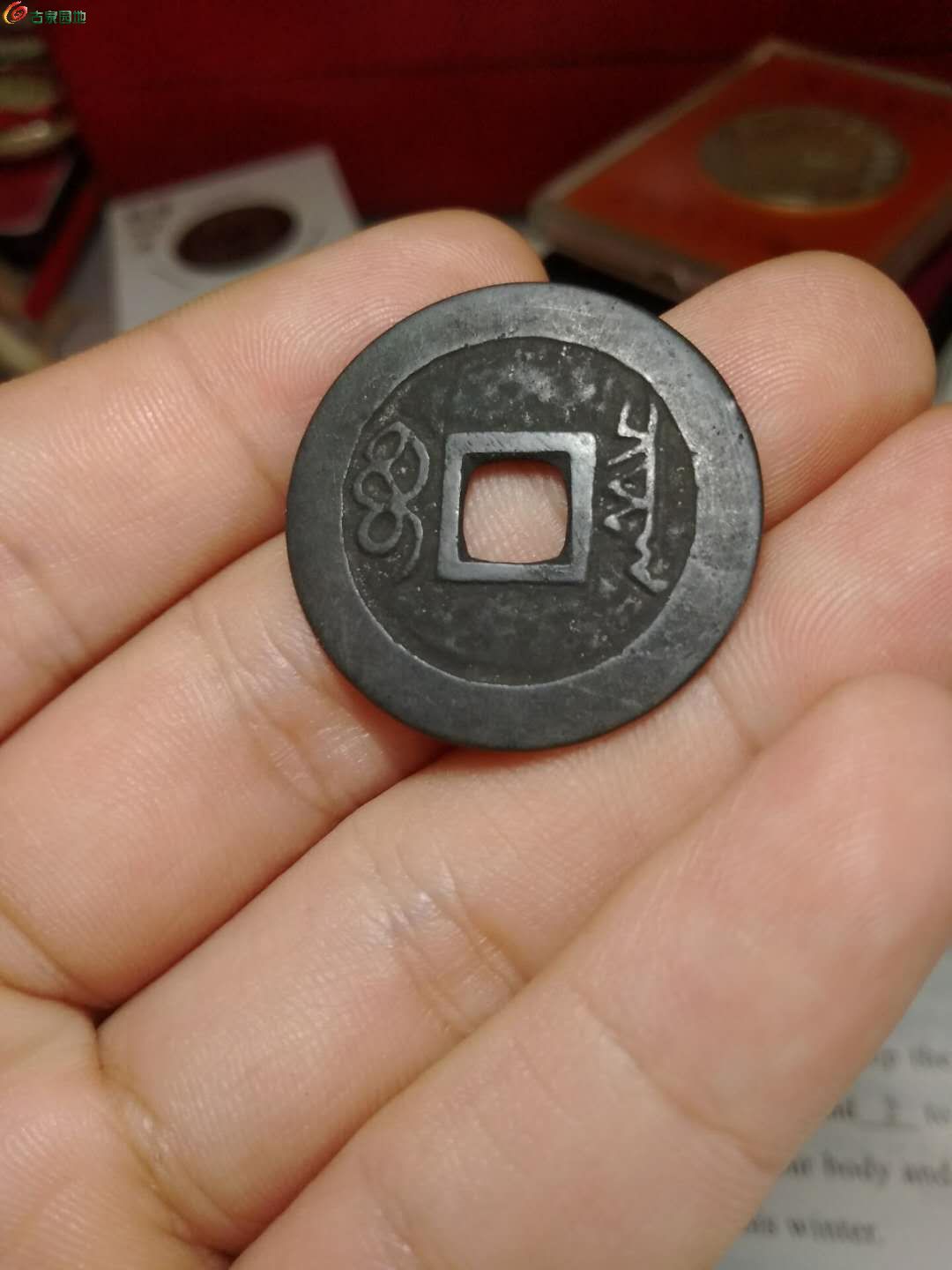 ͼƬ´ڴ򿪲鿴