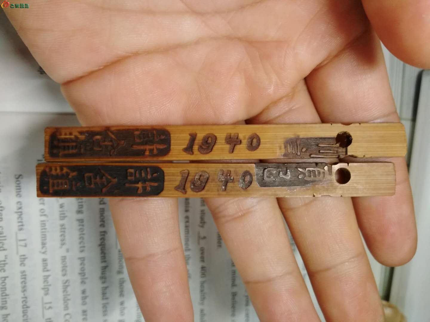 ͼƬ´ڴ򿪲鿴