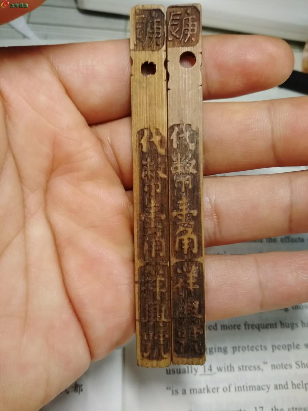 ͼƬ´ڴ򿪲鿴